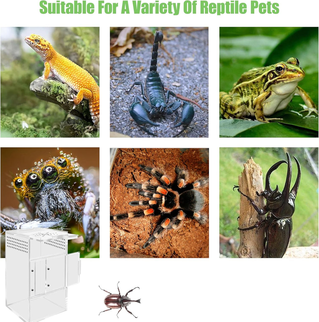 Jumping Spider Enclosure, Compact Acrylic Terrarium for Jumping Spiders, Tarantulas, and Praying Mantis - Small Insect Habitat Enclosure with Transparent Design (2.7x2.7x5.9 Inch)