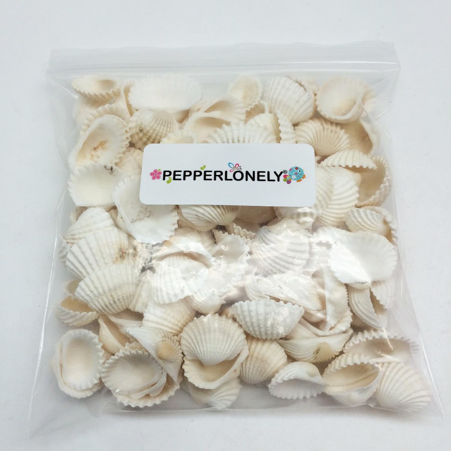 PEPPERLONELY White Cardium Ribbed Cockle Shells, 8 OZ Apprx.110+ PC Shells, 3/4 Inch ~ 1-1/2 Inch
