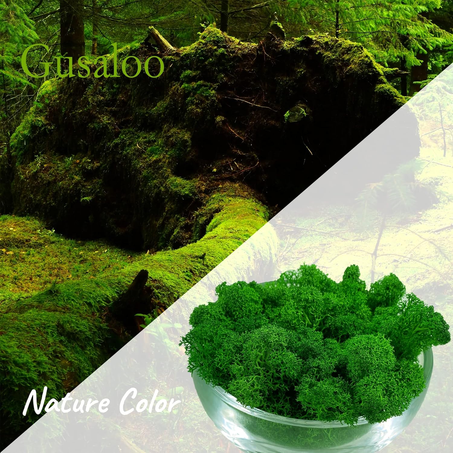 Moss Preserved Artificial Moss Natural Fresh Green Moss for Craft Arts Floral Project Wall Decor Table Decor Wedding Centerpieces Garden Terrariums Decoration -Mid Green 3.5OZ