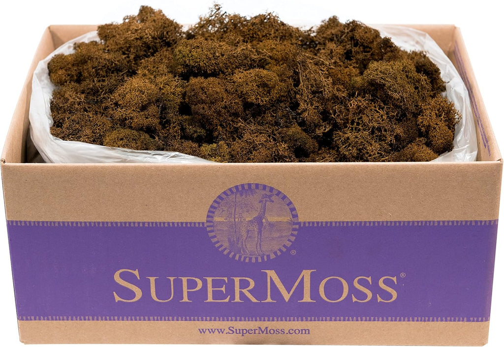 Super Moss (23095 Reindeer Moss Preserved, Brown, 3lbs