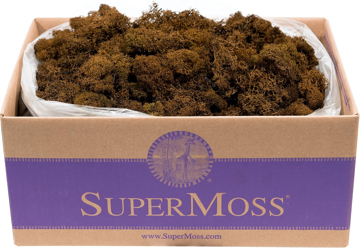 Super Moss (23095 Reindeer Moss Preserved, Brown, 3lbs