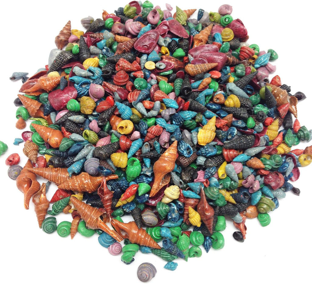 PEPPERLONELY Extra Small Mixed Dyed Assorted Colors Seashells, Very Small & Clean, 6 OZ Apprx.1600+ PC Shells, 1/4 Inch ~ 3/4 Inch