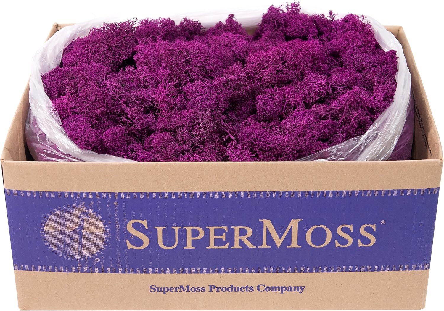 SuperMoss (23169) Reindeer Moss Preserved, Fuchsia, 3lbs