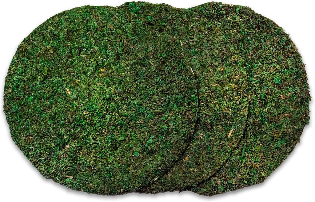 SuperMoss (26325) Moss Soil Toppers (Place Mats), Fresh Green, 16" (3 units)