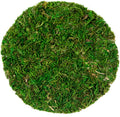 SuperMoss (26295) Moss Soil Toppers, Fresh Green, 4 (3 Units)