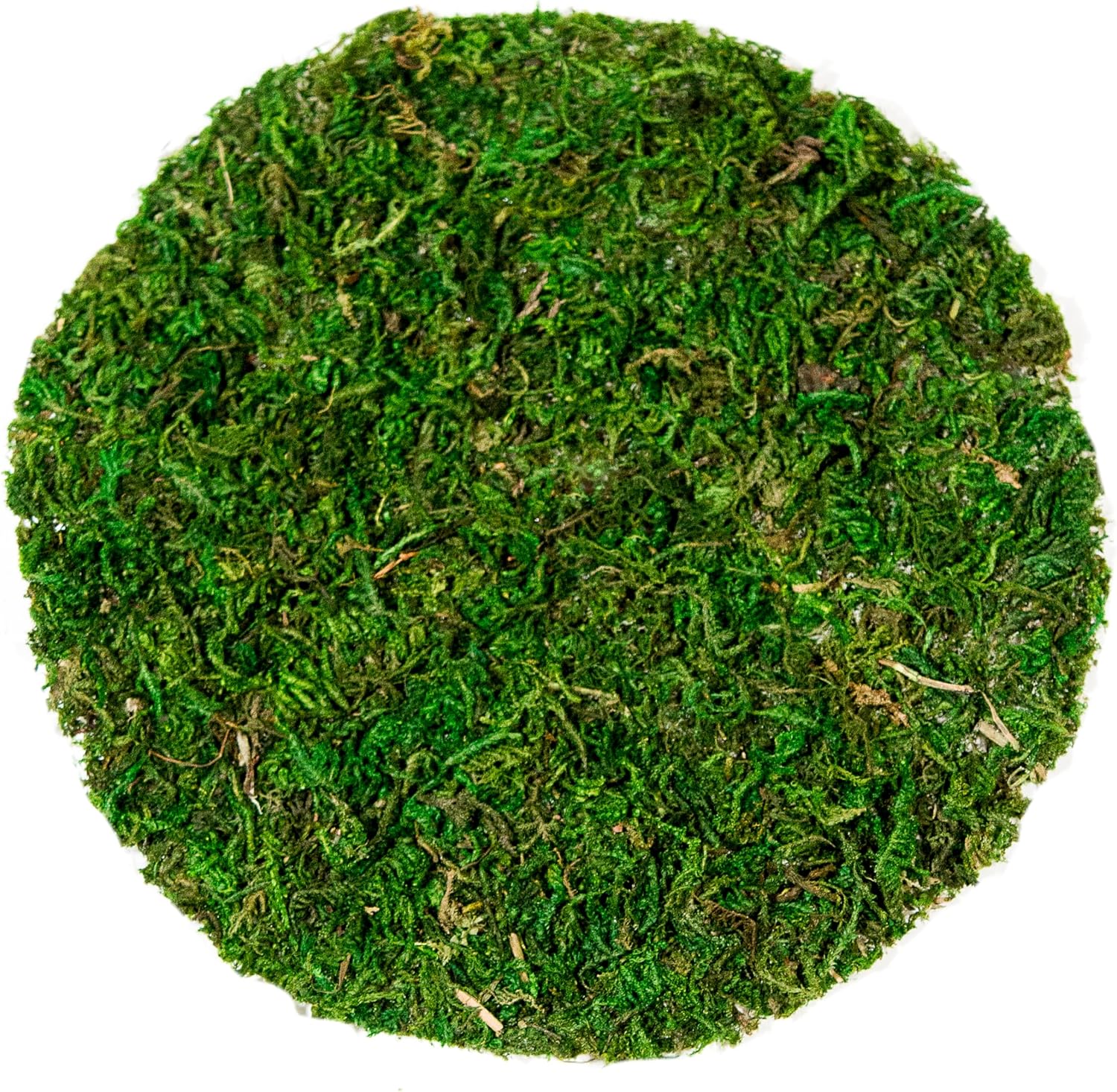 SuperMoss (26295) Moss Soil Toppers, Fresh Green, 4 (3 Units)