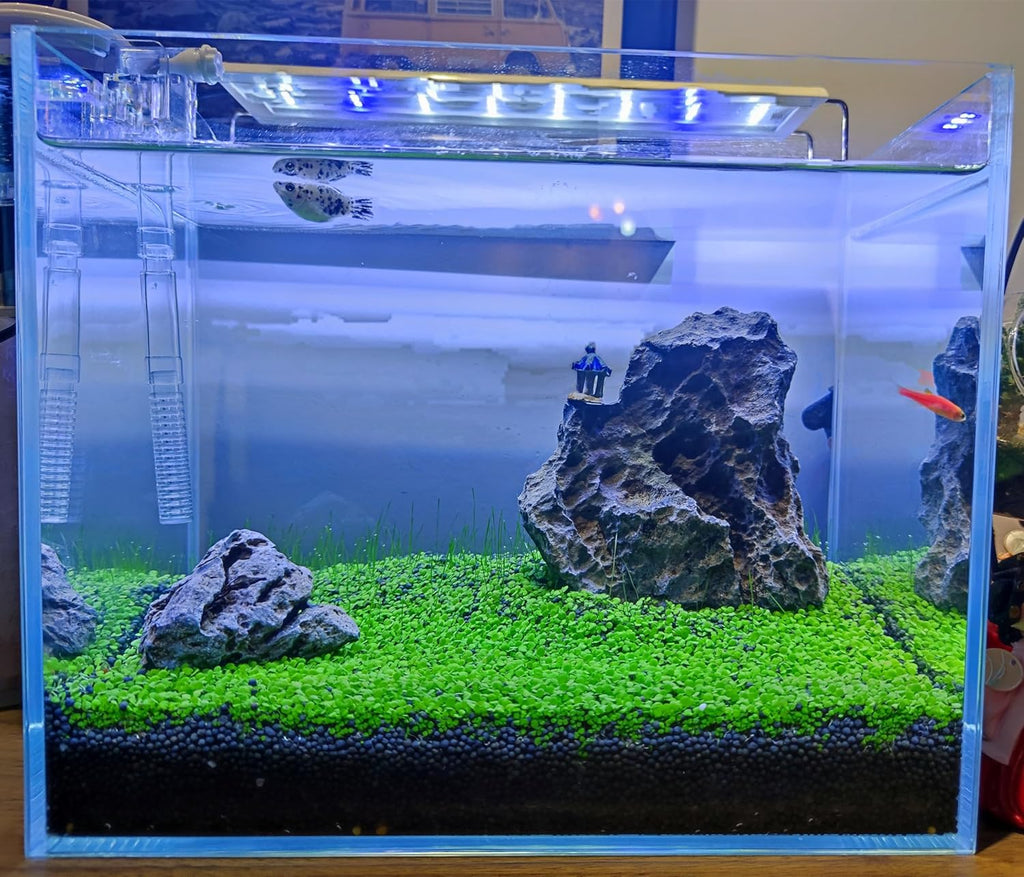 4 Pack Aquarium Plant S.e.e.ds, no Artificial Plastic Plant, Fish Tank Live Grass for All Substrate (0.36ozTiny+0.36oz Long+0.36oz Short+0.36oz Big Dual) ZQV-005