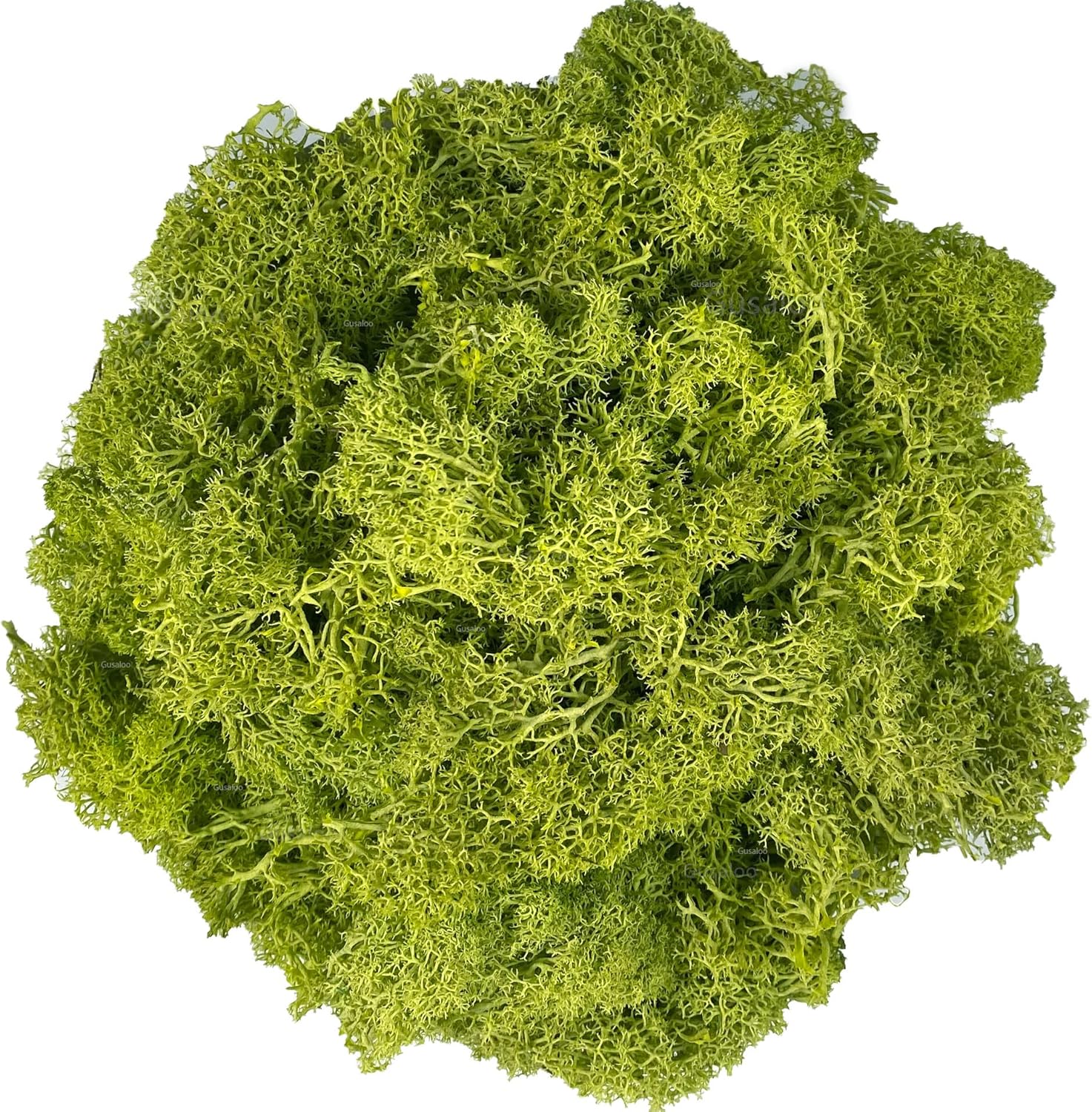 Moss Preserved Artificial Moss for Potted Plants Natural Fresh Green Moss for Craft Arts Floral Wall Decor Wedding Centerpieces Garden Terrariums Decoration - Lemon Yellow 3.5OZ