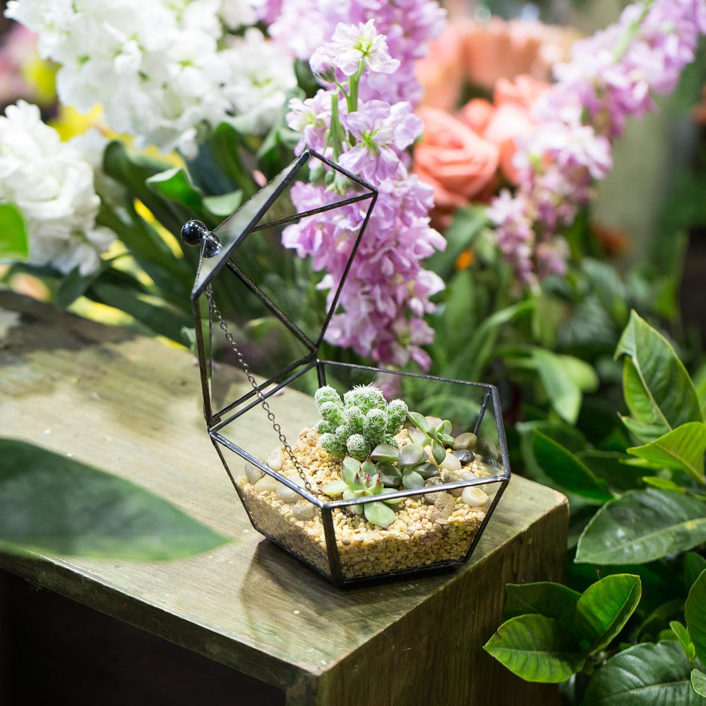 NCYP Small Glass Geometric Terrarium, Closed Jewel-Boxed Shape Container, Plant Succulent Planter, Indoor Outdoor Garden Decor Flower Pot Handmade (Terrarium Only)