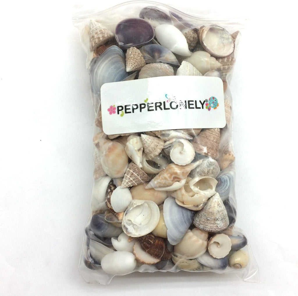 PEPPERLONELY Small Mix Sea Shells, Very Clean, 8 OZ Apprx. 340+ PC Shells, 1/2 Inch ~ 1 Inch