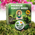 DUSPRO Dried Moss for Potted Plants, Forest Orchid Moss for Potting Mix, Sphagnum Potting Moss for Plants Indoor, Real Moss Soil Cover for Houseplant (2 OZ)