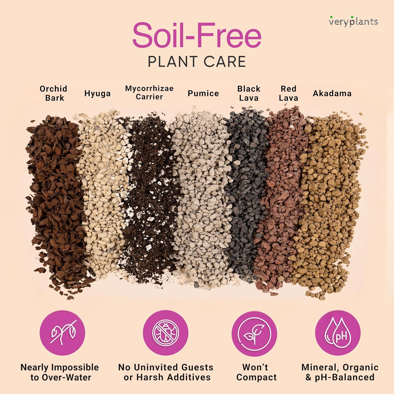 Molly's Succulent Mix - Premium Gritty Soilless Potting Mix for Succulents, Cactus and Bonsai - Contains Akadama, Hyuga, Bark Fines, Pumice, Lava Rock, Mycorrhizae 5 Dry Quarts