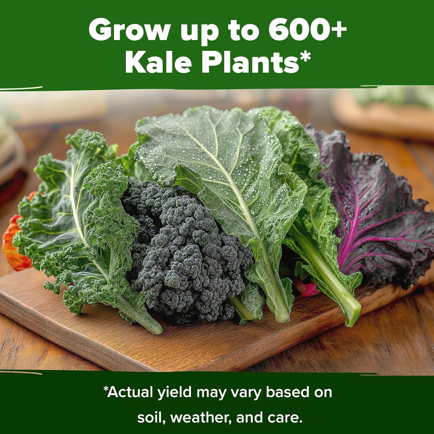 HOME GROWN Heirloom Vegetable Seeds Vegetable Seeds for Planting Home Garden, Beans, Carrots, Peppers, Cucumber, Kale, Pepper Seeds, Tomato (4 Kale)