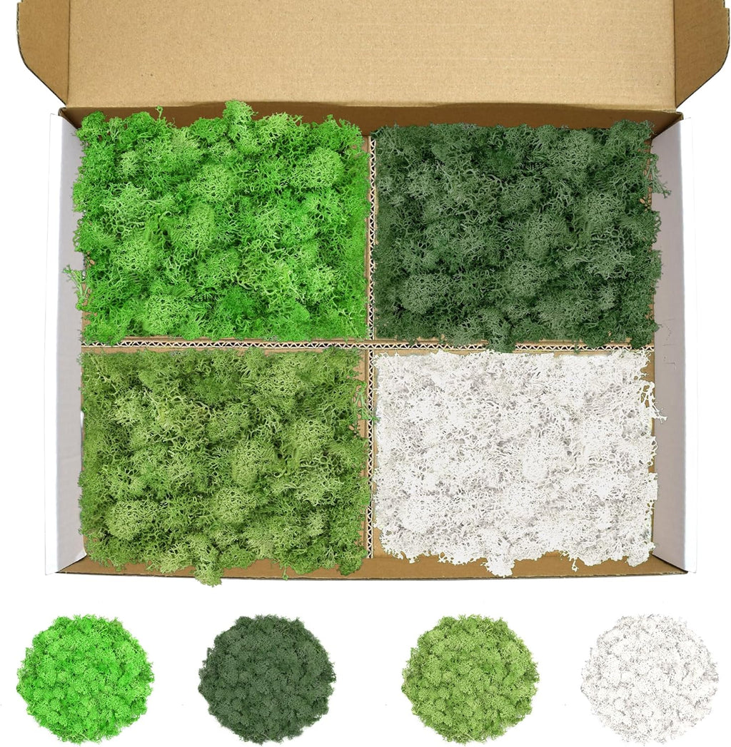 Preserved Reindeer Moss 14 OZ 4 Colors for DIY Gift, Potted Plants,Craft Wall Art,Festive Home Decorative Christmas(Green, Dark Green, Chartreuse and White, Each Color 3.5 OZ)