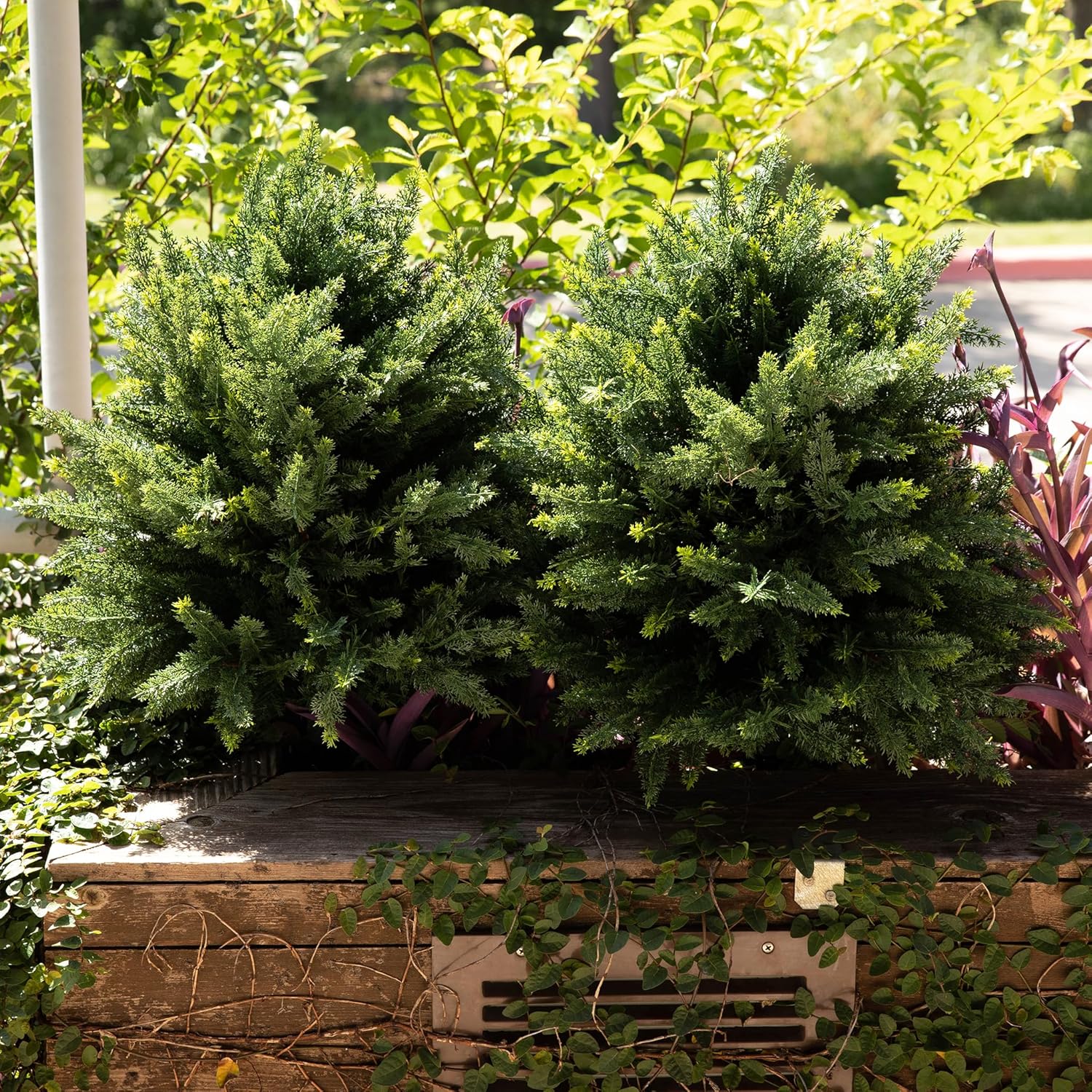 DRAY 16" Diameter Artificial Cypress Topiary – Set of 2 Faux Plants with Ground Spikes – UV-Resistant, Realistic Outdoor & Indoor Greenery – Weatherproof Garden Landscaping Décor