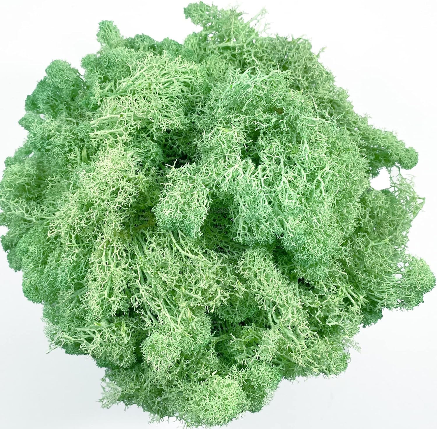 Moss Preserved Moss - Natural Fresh Green for Crafts, Arts, Floral Projects, Wall & Table Decor, Wedding Centerpieces, Garden, Artificial Terrariums - Mint-Green 3.5OZ