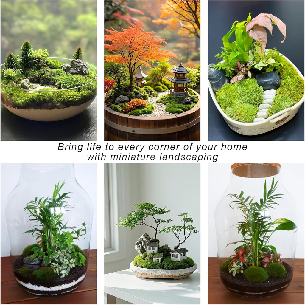TurelinnG Preserved Moss Decor - Real Forest Moss, Moss for Crafts, Flexible for DIY Crafts, Home, Wall, Terrarium, Art Projects(Natural Green 2 sq.ft)