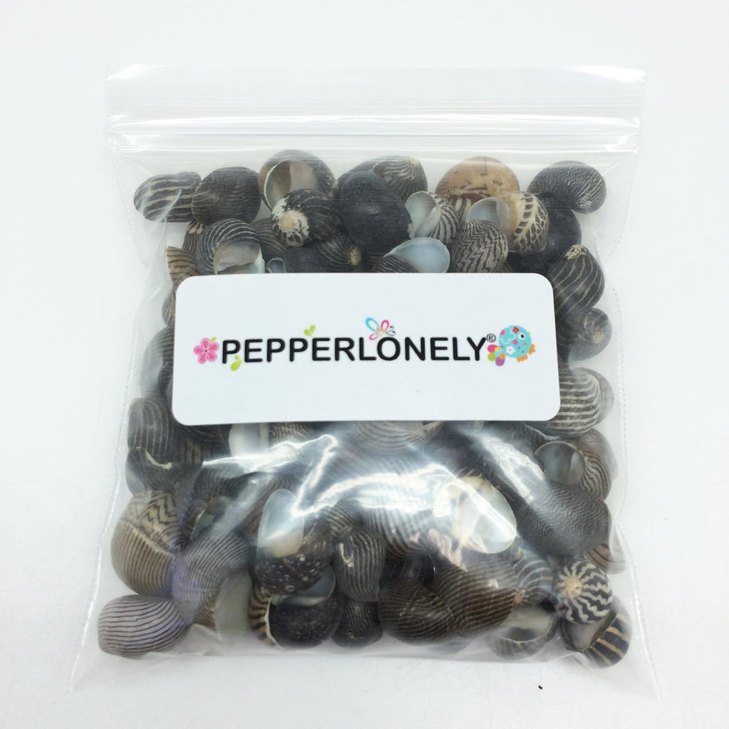 PEPPERLONELY 100 PC Zig Zag Nerite Sea Shells, 1/2 Inch ~ 3/4 Inch