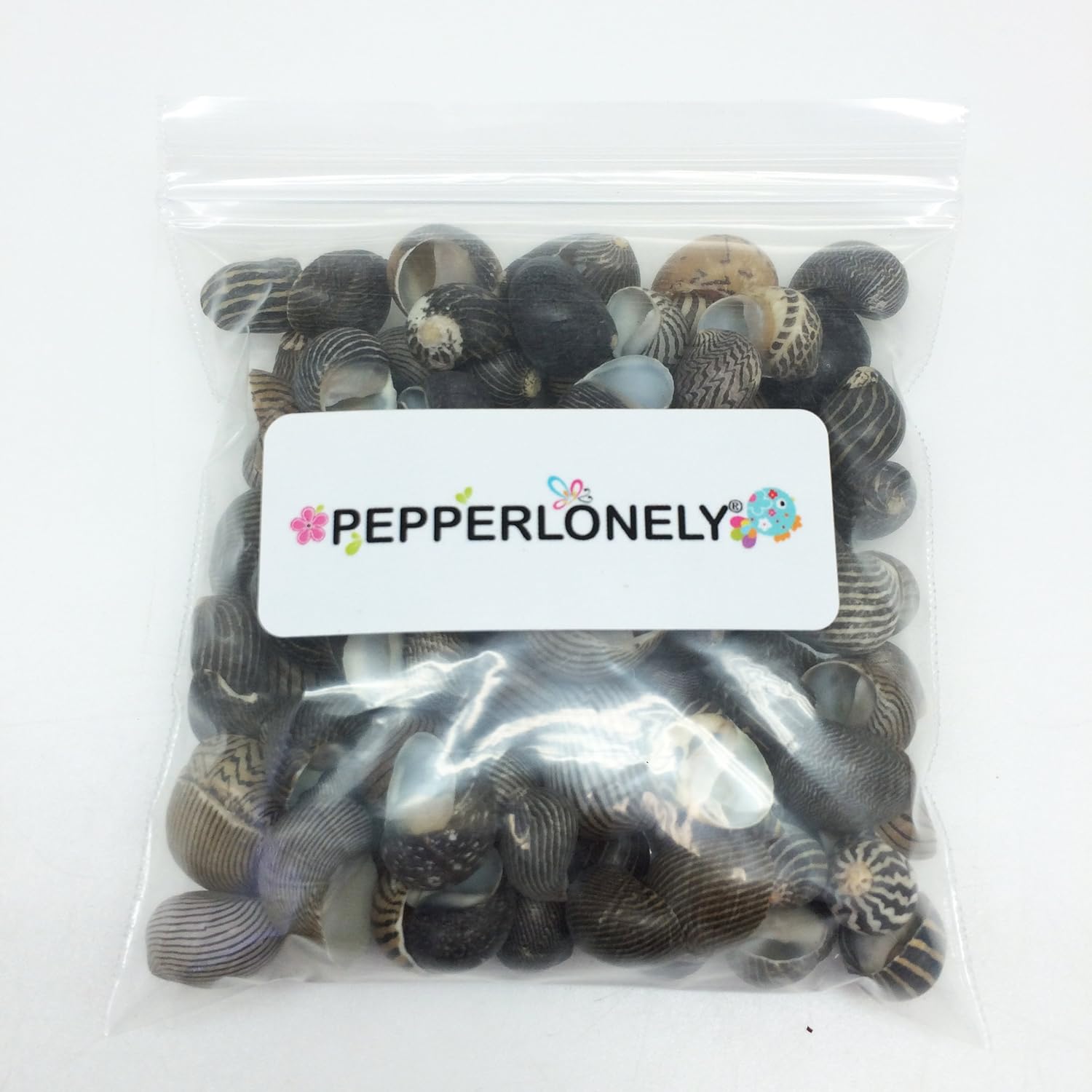 PEPPERLONELY 100 PC Zig Zag Nerite Sea Shells, 1/2 Inch ~ 3/4 Inch