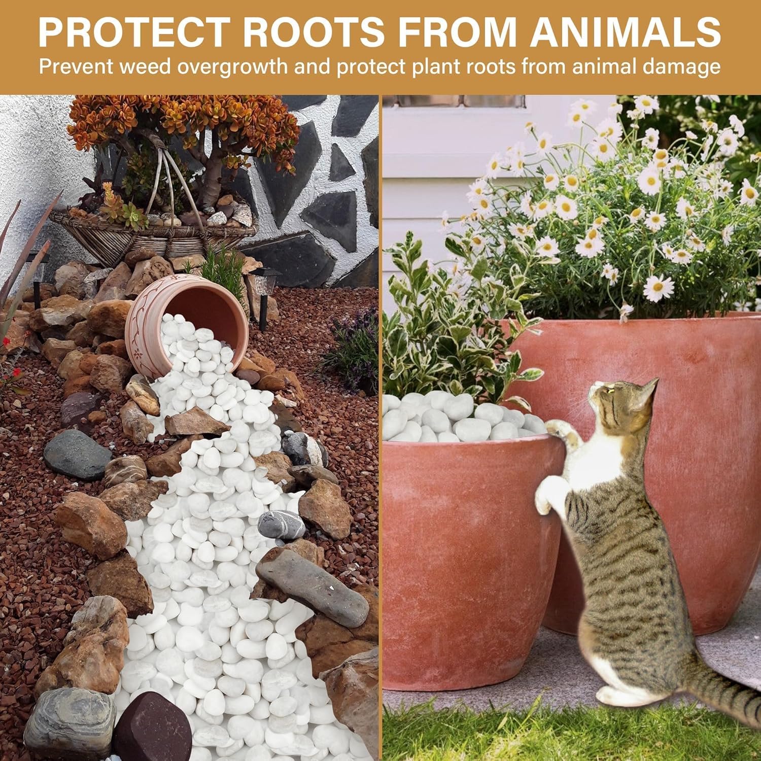 NUPICK 12lb White River Rocks for Plants Indoor, 1-2Inch Pebbles for Vases Fillers, Decorative Gravel for Fish Tank, Natural Polished Stones for Succulent, Bonsai, Landscaping, Bird Baths