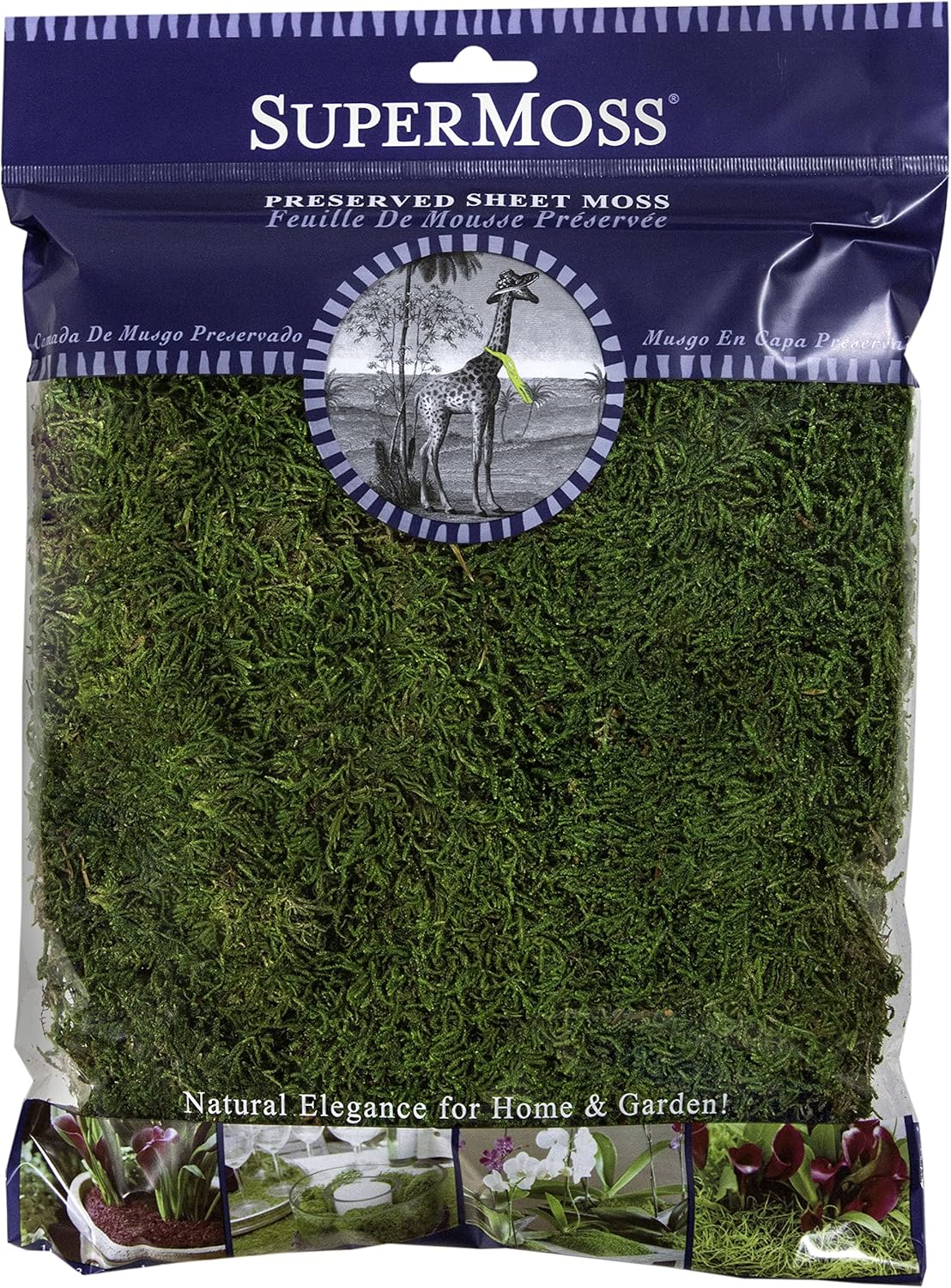 SuperMoss (21512) Preserved Sheet Moss, Fresh Green, 8oz (200 cubic inch)