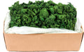 Super Moss (21499 Reindeer Moss Preserved, Forest Green, 10lbs
