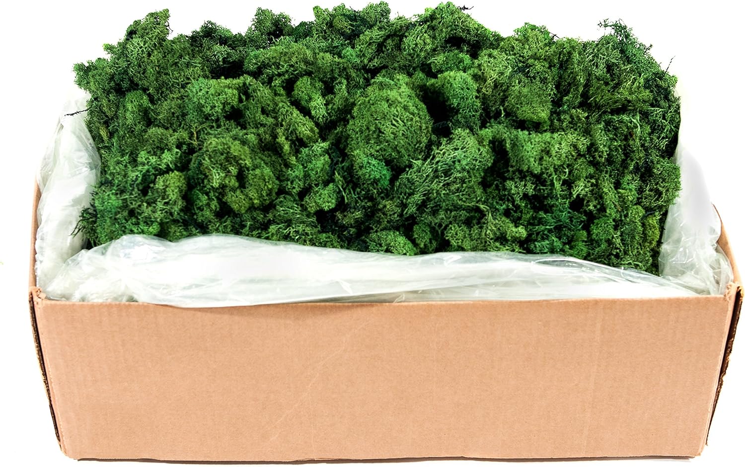 Super Moss (21499 Reindeer Moss Preserved, Forest Green, 10lbs
