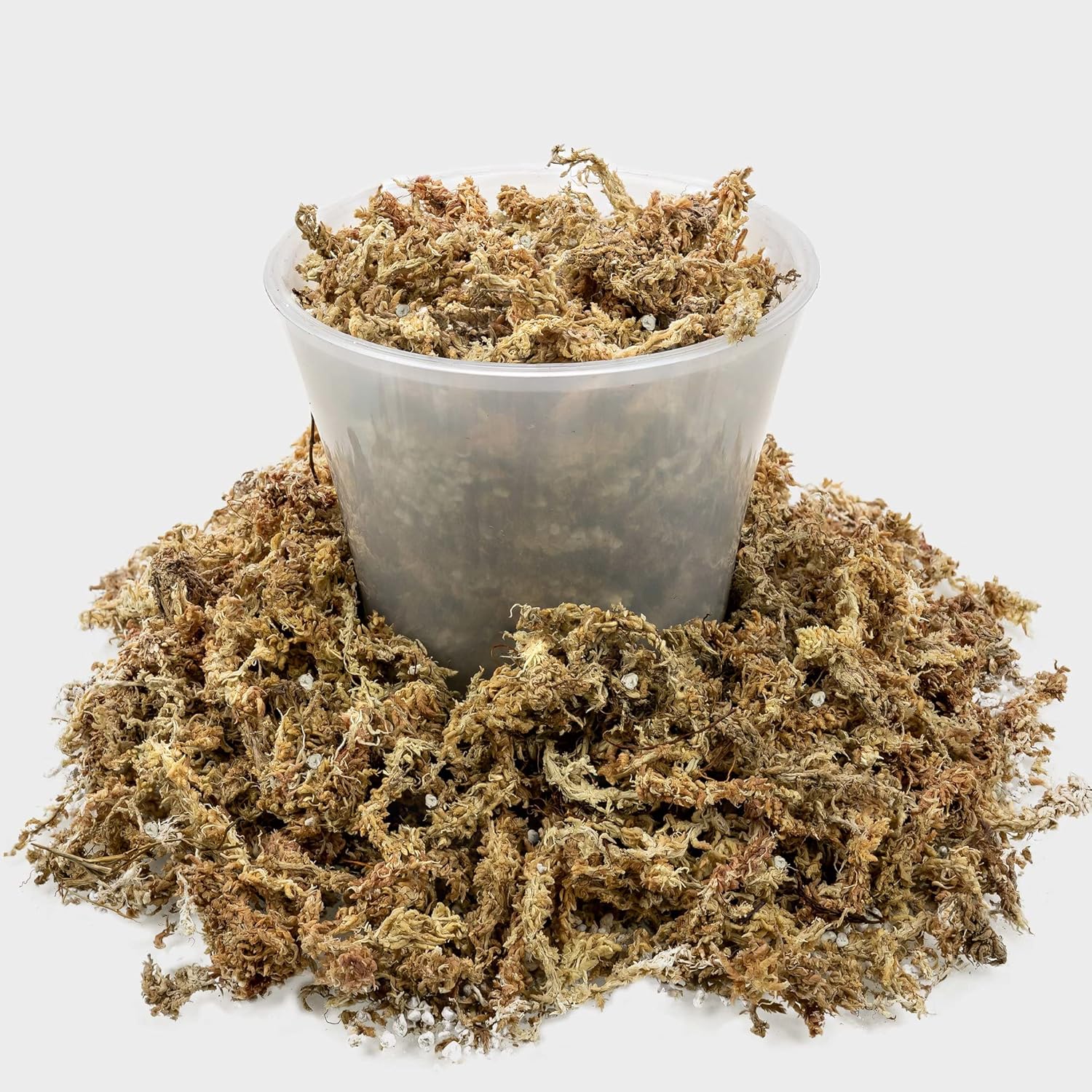 Gardenera Sphagnum Moss Potting Mix for Carnivorous Plants, Moss and Perlite Blend for Potting Venus Fly Traps, Sarracenia, Pitcher Plants - Sphagnum Moss & Perlite - Made in USA - 20 Quart