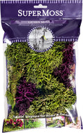 SuperMoss (25811 Lichen Parmelia (Branched), Green + Burgundy Mix, 4oz