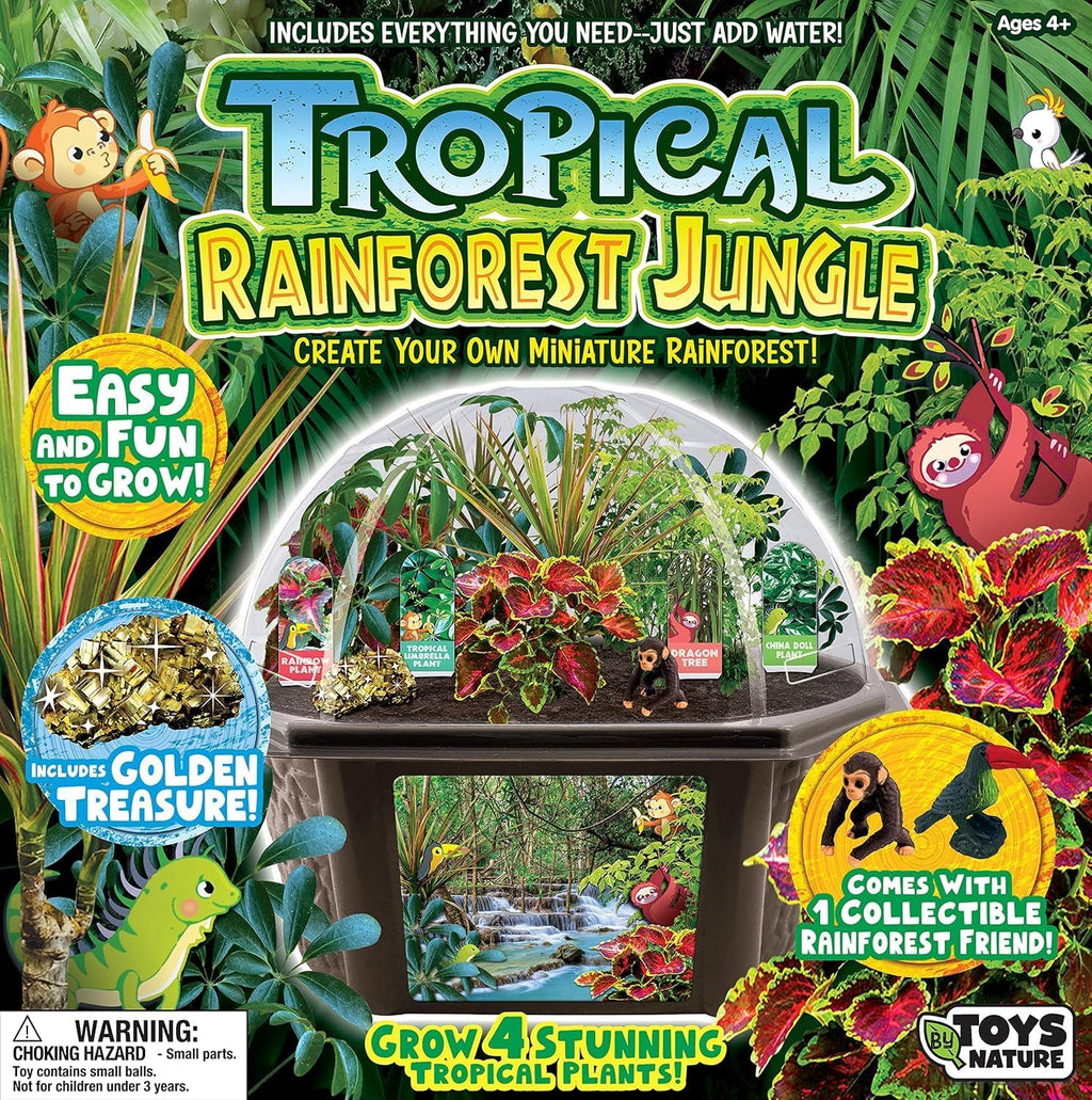 Toys by Biosphere Terrarium Starter Kit with Complete Supplies to Create Your Own Jungle! Indoor Plants for Home Displays and Gardens (Tropical Rainforest Jungle)