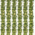 Dolicer 6 Packs 6FT Artificial Eucalyptus Garland with LED Light String, Faux Greenery Garland Hanging Fake Silver Dollar Eucalyptus Leaves Vines for Wedding Backdrop Arch Table Wall Party Home Decor