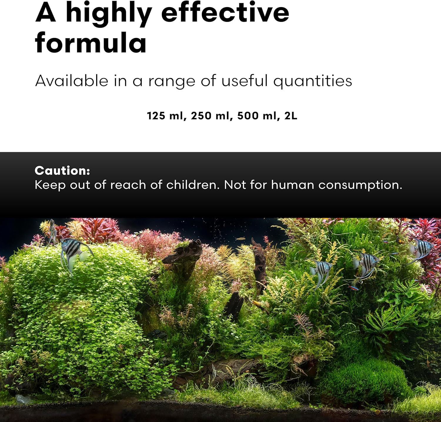 Brightwell Aquatics Caridina GH+ Mineral Supplement Restores Calcium Magnesium Potassium Sodium in Soft RO/DI Water for Shrimp Breeding and Plant Health, 125 ml