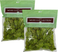 Quality Growers - Preserved Reindeer Moss - Moss for Crafts, Home Decor, Art, Design & DIY Projects - Non-Toxic - USA Made (Chartreuse, Medium, 2-Pack)