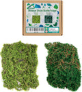 DIY Miniature Shrubs Bushes Foliage Terrain Model Kit Sand Table Simulation Landscape War Gaming Terrain Decoration Railroad Scenery War Gaming Scenery