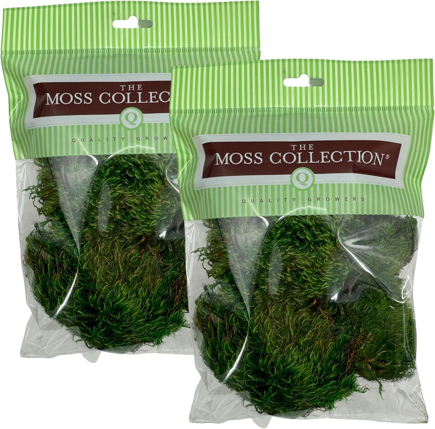Preserved Mood Moss - Premium Decorative Moss for Crafts, Home Décor, Art, Design & DIY Projects - Real Moss- Non-Toxic - USA-Made- Natural Green, Small 2-Pack