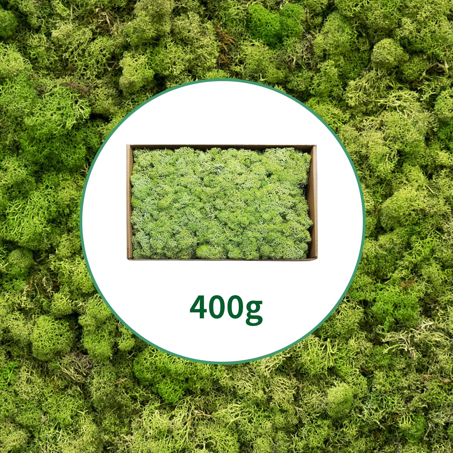 TurelinnG Preserved Moss 0.88LB Reindeer Craft Moss, Fake Moss Suitable for Crafts, Flowerbeds, Home Office Artistic Decoration Green