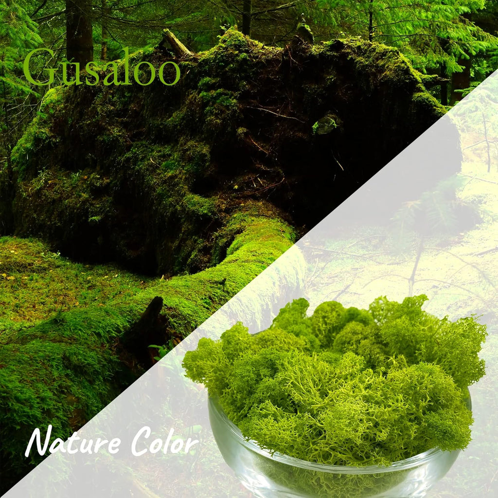 Moss Preserved Artificial Moss for Potted Plants Natural Fresh Green Moss for Crafts Arts Floral Project Wall Decor fake Moss Wedding Centerpieces Garden Terrariums Decoration Light-Yellow Green 3.5OZ