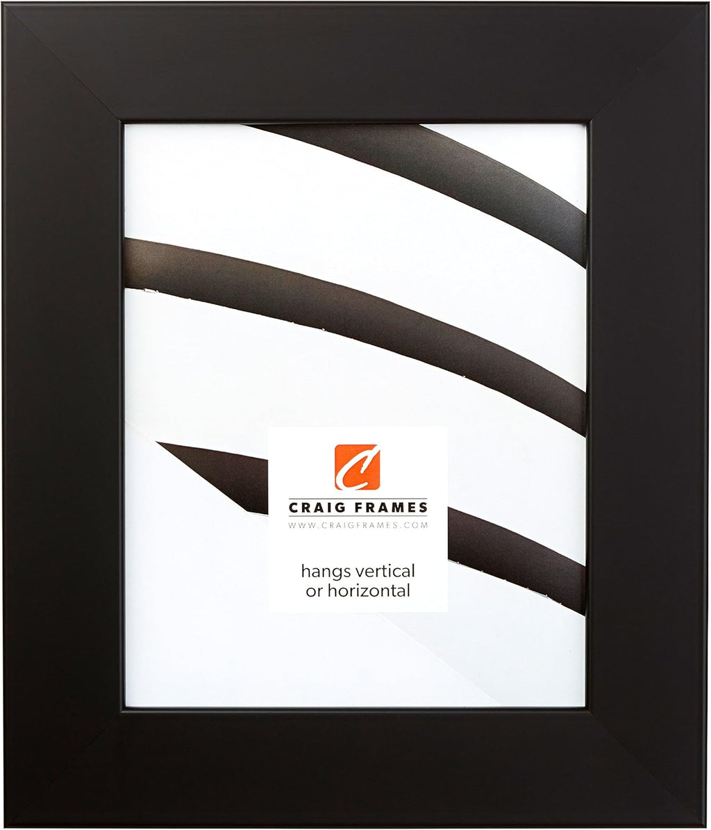 Craig Frames 74273 20 x 20-Inch Picture Frame, Smooth Wrap Finish, 2-Inch Wide, Black Satin