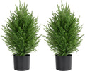 Palonu 2 Pcs 2Ft Christmas Norfolk Pine Potted Trees, 24" Realistic Artificial Norfolk Tree with Pot Faux Greenery UV Resistant Fake Plants for Tabletop Front Porch Indoor Outdoor Home Décor
