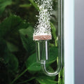 Neo CO2 Aquarium Diffuser - CO2 Diffuser Aquarium Kit, CO2 Diffuser for Aquarium Plants, CO2 System for Aquarium - Curved Original Diffuser, Medium