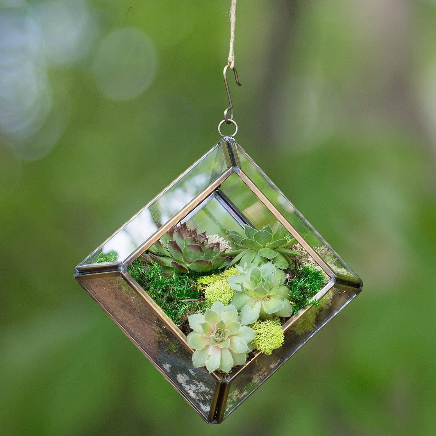 D'Eco Glass Mini Diamond Display (5x5x3.5) - Tabletop or Hanging Planter Terrarium for Home Decor - Fill w/Succulents, Holiday Decorations, Mini Trees & Ornaments - Xmas Gift for Plant Lovers