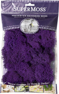 SuperMoss (25124) Reindeer Moss Preserved, Appx. 2oz, Purple