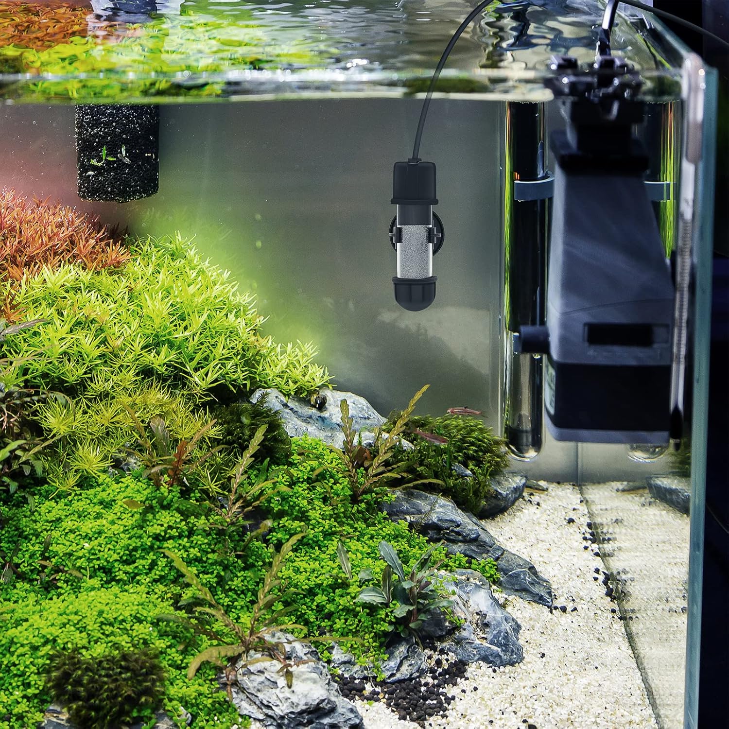 hygger Small Aquarium Betta Heater, Submersible Fish Tank Heater 10W/25W/50W/100W with LED Digital Display, Suitable for Marine Saltwater and Freshwater up to 5/10/16/26 Gallon