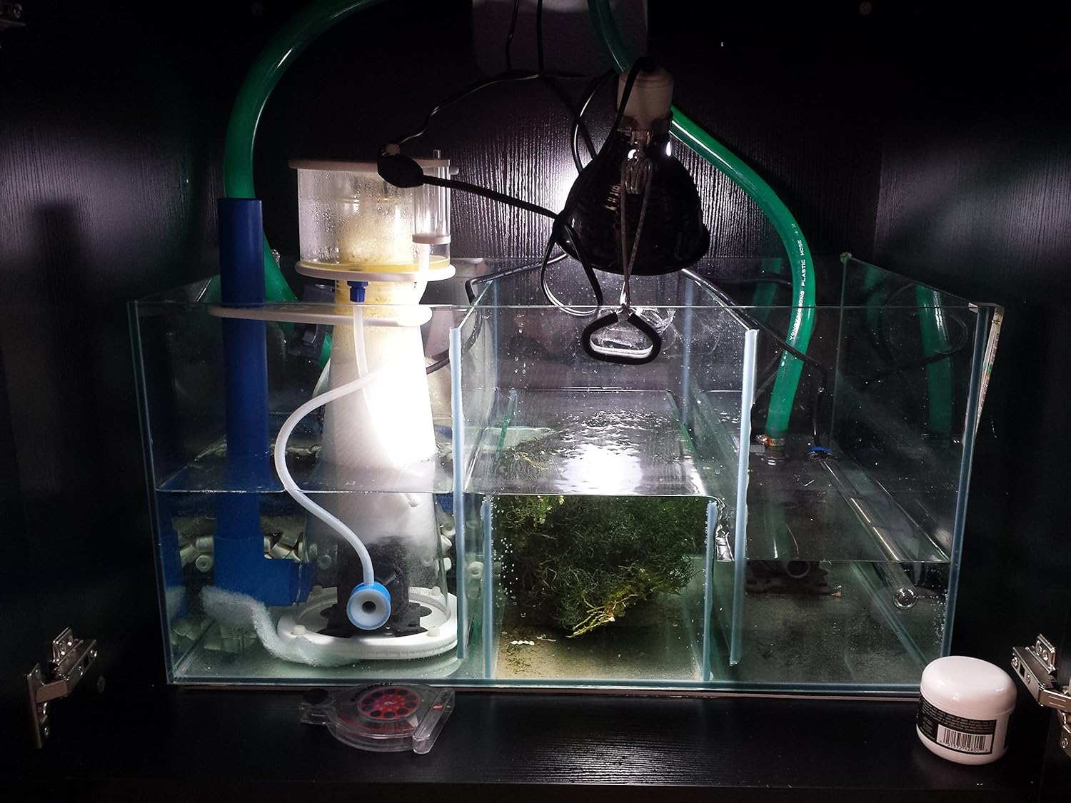 SCA 66 Gallon Starfire Rimless Aquariums Pnp System 32x24x20 10mm with Built-in Overflow