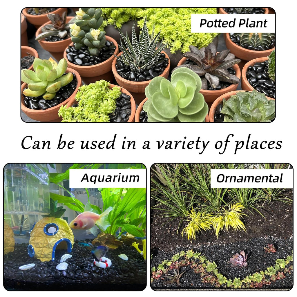 18lb 1/4" Small Pebbles Black for Plants,Potting,Succulents Aquarium Fish Tank Vases Decorative Garden Polished Gravel Rocks Stones