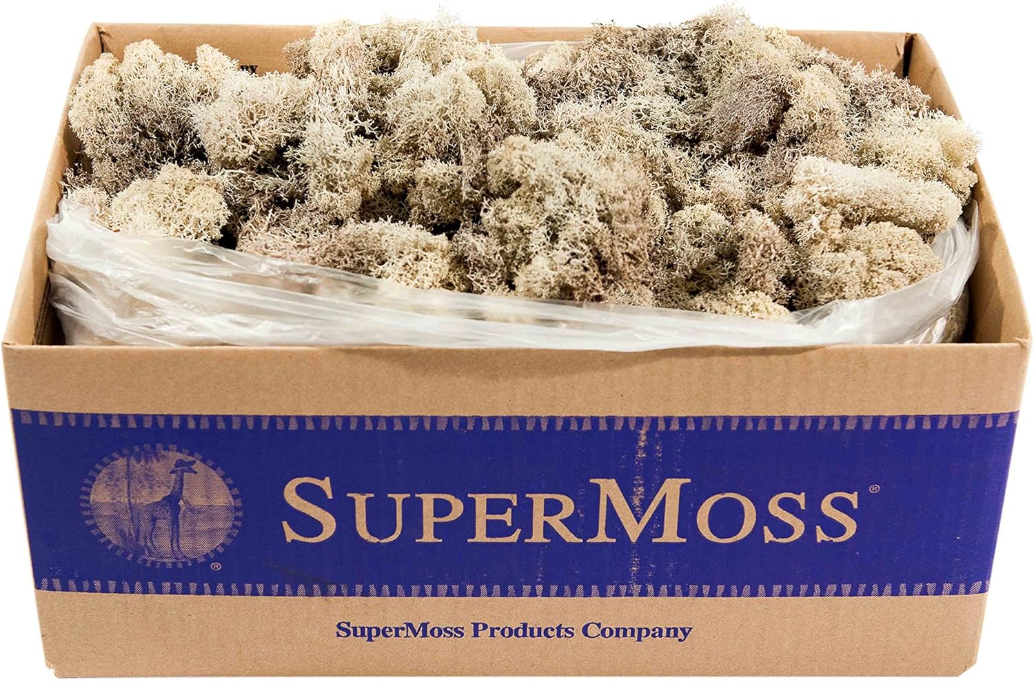 SuperMoss (21742 Reindeer Moss Preserved, Natural, 3lbs