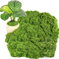 Draupnir Fake Green Moss for Potted Plants, 10.6OZ Fake Moss for Plants Indoor,Faux Moss for Crafts Artificial Moss Decor, DIY Decorative Moss for Fairy Garden Glass Containers Wedding (300g)