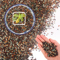 45Lb Horticultural Lava Rock-Lava Rocks for Plants,Succulent Soil Amendment,Decorative Cactus Soil Potting Mix,Volcanic Rock for Aquarium Fairy Gardening Top Dressing Plant Drainage