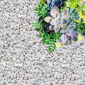 Perlite for Plants, Coarse and Chunky Horticultural Perlite, Organic Perlite for Gardening Indoor & Outdoor, Perlite Bulk Bag, Made in USA (20 quarts)