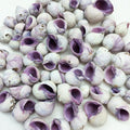 PEPPERLONELY Purple Cebu Beauty Sea Shells, 8 OZ Apprx.60+ PC Shells, 1/2 Inch ~ 1 Inch